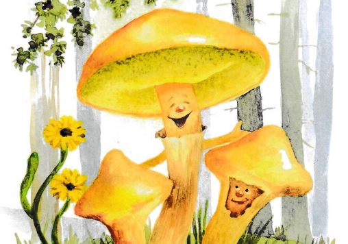 images/Fotos_FAZ/20260115 Galerie-im-ZiM-Ausstellung-Evelyn-Filep.JPG